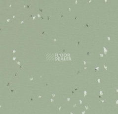 Линолеум Forbo Sphera Evolution 50434 sage фото 1 | FLOORDEALER